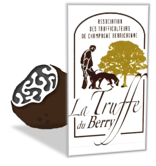 truffe-berry