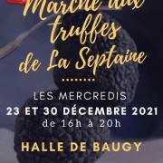 Affiche marche aux truffes septaine 2020 icone
