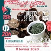 Affiches stvalentin2019 icone